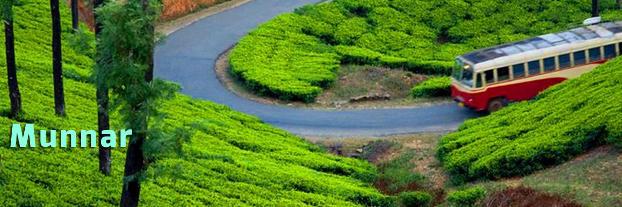 Munnar Tour Packages