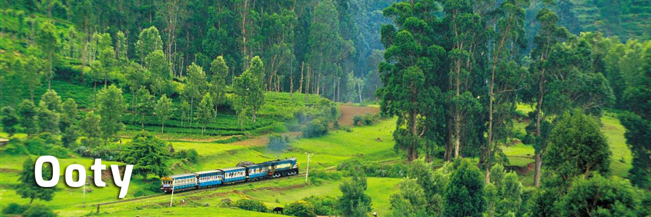 Ooty Toy Train